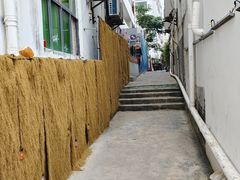 -后海村