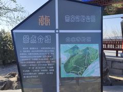 -白水寺森林公园