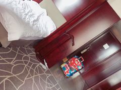 -常州环球恐龙城维景国际大酒店
