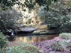 景点-碧峰峡风景区