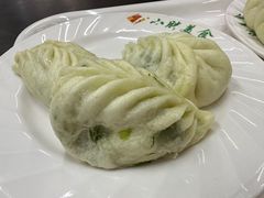 茴香素包-小胖包子王(赵公口店)