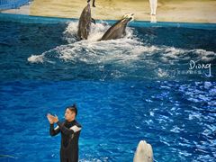 -泉城欧乐堡海洋极地世界