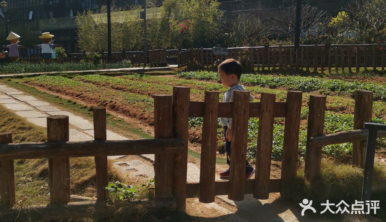 深圳假期溜娃   /   小凉帽农场,体验农场风光