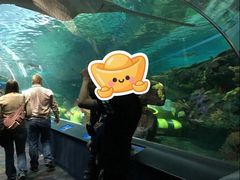 -瑞普利水族馆