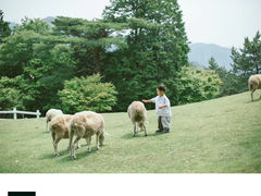 -神户市立六甲山牧场