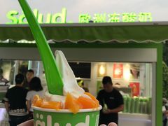 -Salud撒露欧洲冻酸奶(蓝色港湾店)