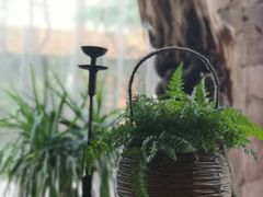 -昆明柏联SPA温泉