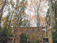 -灵谷景区