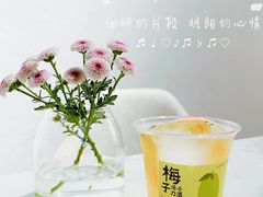梅子汤力小酒-boundaries籬苑(瑞光创意工厂-贰号院店)