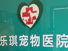 -乐琪宠物医院·犬猫专科·骨外科·急重症