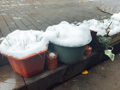 -慧娟面馆·餐厅(望江路店)