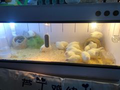 -明瓦廊小区