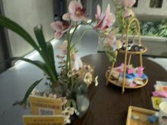 -施奈儿.洗头頭療.按摩SPA.采耳(上梅林店)