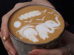埃塞澳白-喜柿咖啡SeeS coffee