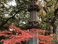 -普陀山风景名胜区-法雨禅寺