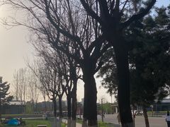 -汉长安城未央宫国家考古遗址公园