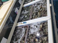 -西归浦每天偶来市场