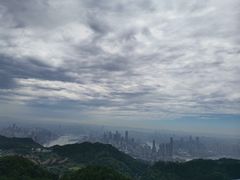 -大金鹰园