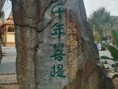 -西双版纳傣族园