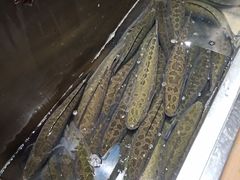 -黑鱼郭我家酸菜鱼(摩尔广场店)
