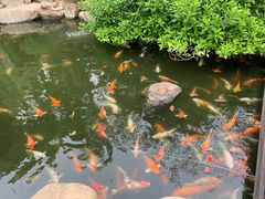 -厦门日月谷温泉渡假村