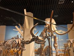 -国家自然博物馆