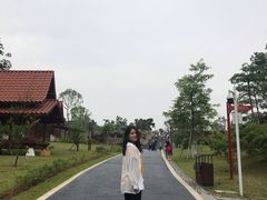 -东莞植物园