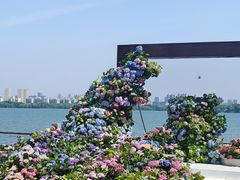 -无锡蠡湖国家湿地公园-蠡园