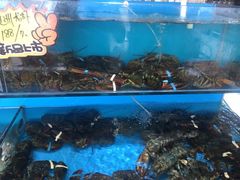-港畔赶海蒸汽海鲜烧烤自助(仙螺岛店)