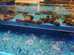 -海底捞火锅(长宁路龙之梦店)