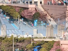 -台场海滨公园船码头