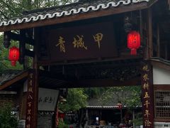 -青城甲(青城山店)