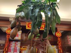 -正德顺順德雙皮奶(中信店)