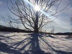 -北极村旅游风景区