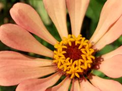 -皇粮浜湿地公园