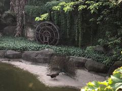 -南昌动物园