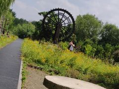 -溱湖国家湿地公园