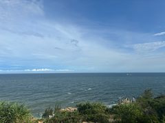 -广东惠东海龟国家级自然保护区