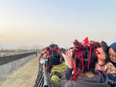 -上海国际音乐村