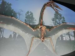 -香港科学馆