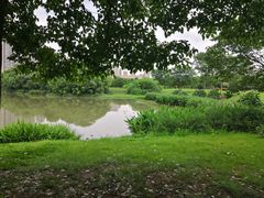 -艾溪湖湿地公园