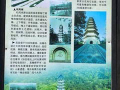 -灵谷景区