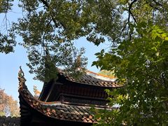 -柠季·手打柠檬茶(岳麓山登高路店)