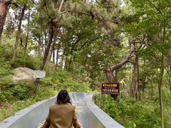 -沂蒙山旅游区云蒙景区(蒙山国家森林公园)