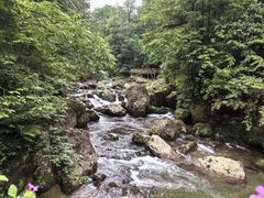 -龙苍沟森林公园