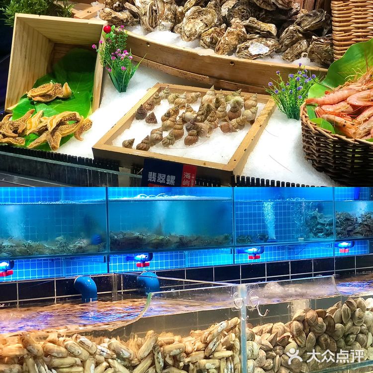 🌟无锡海鲜放题天花板|实现三文鱼+和牛双自由