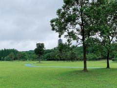-宜兴龙背山森林公园