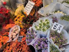 -循礼门鲜花花市(武汉循礼门店)