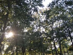 -南京枫彩漫城