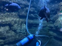 -杭州长乔极地海洋公园